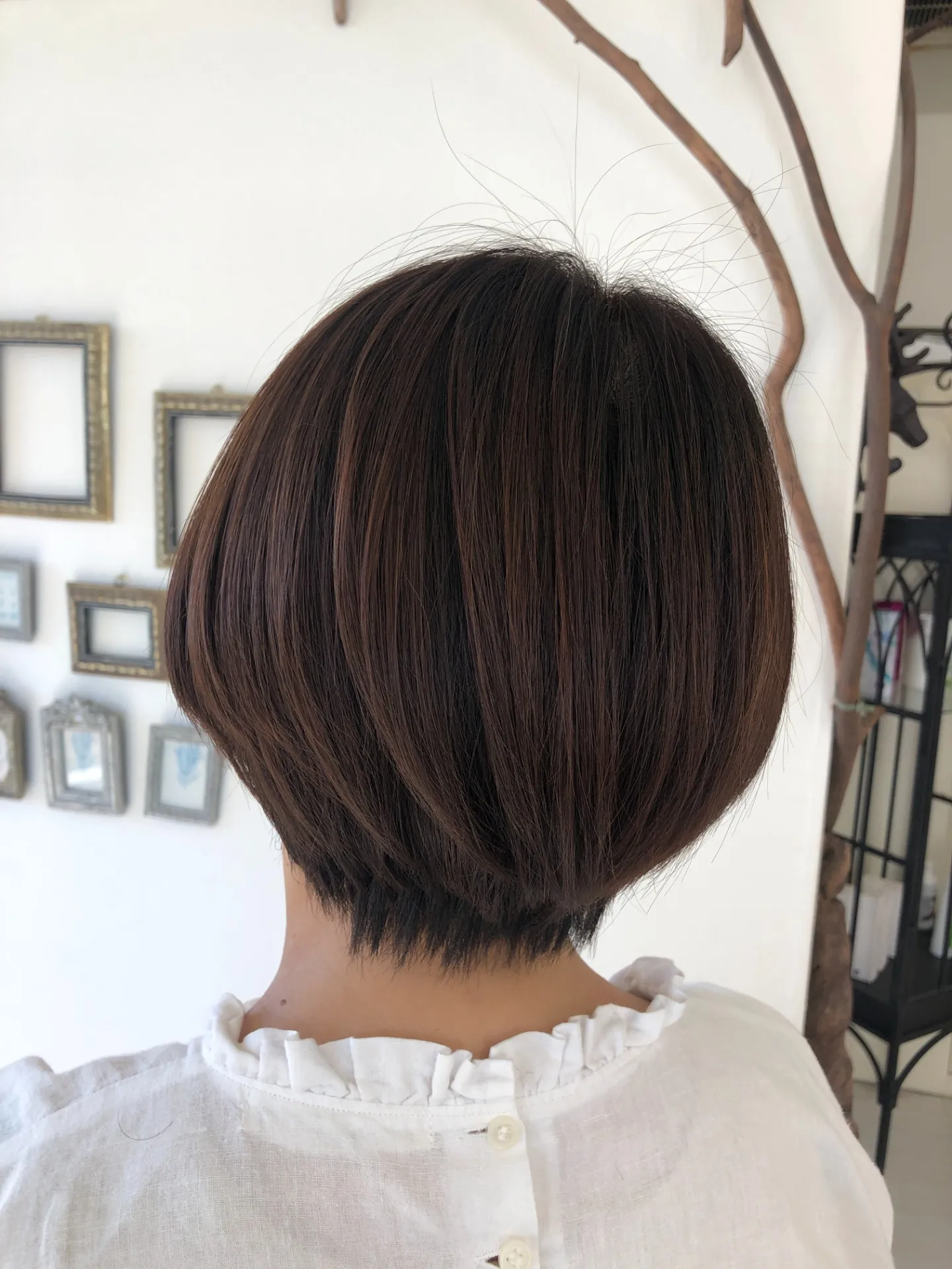 【もう「暗い白髪染め」は卒業!】優しく、明るく、若々しく。私がお届けする「肌映えカラー」のヒミツ。