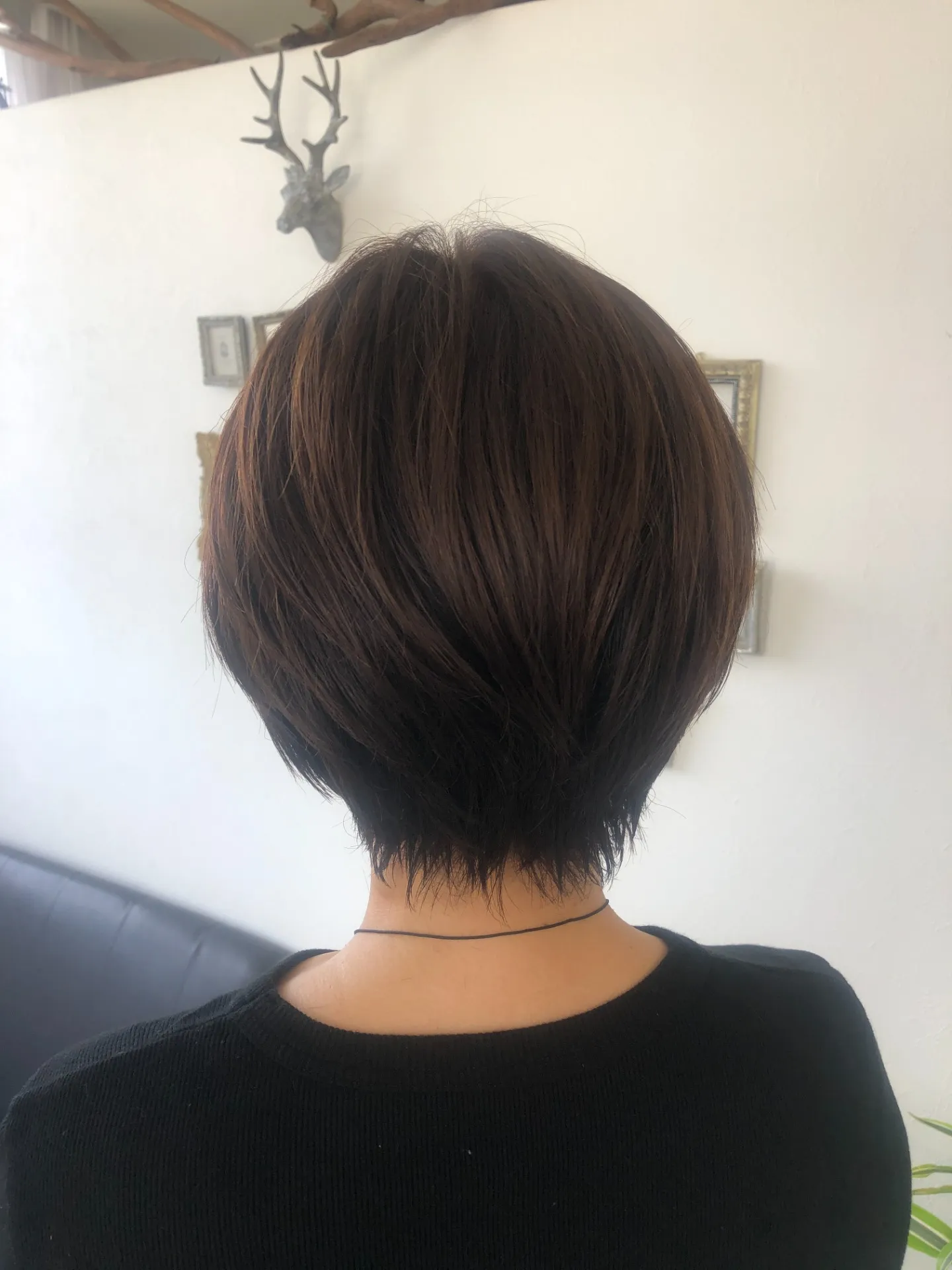 【もう「髪が傷む」と諦めないで!】30年の経験が教える、ダメージさせない白髪染めの3つの秘訣。